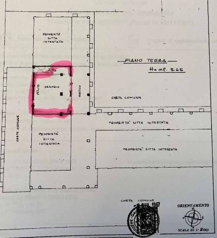 main planimetry real estate image