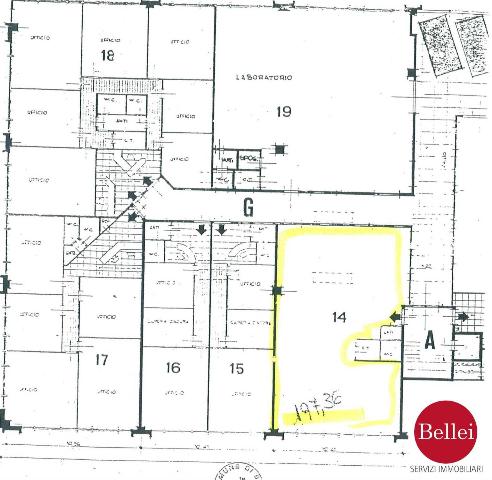 main planimetry real estate image