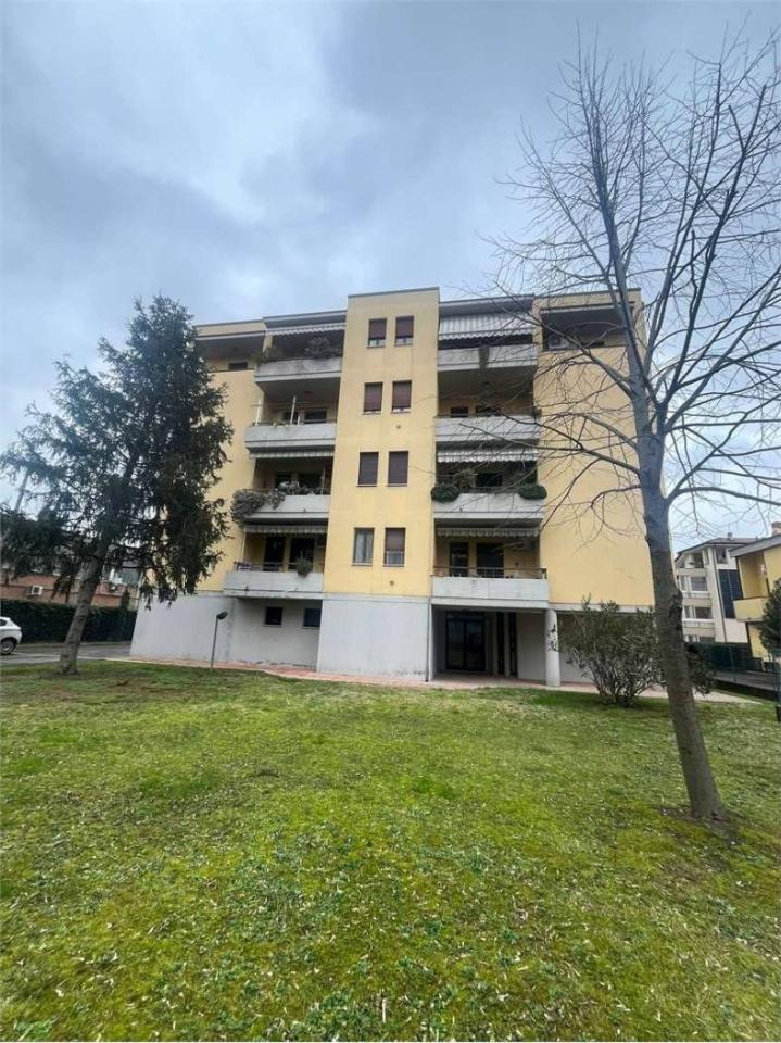 immagine annuncio 10 di 14
