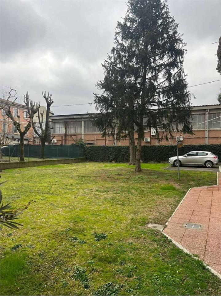 immagine annuncio 12 di 14