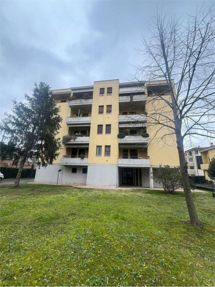 immagine annuncio 11 di 14