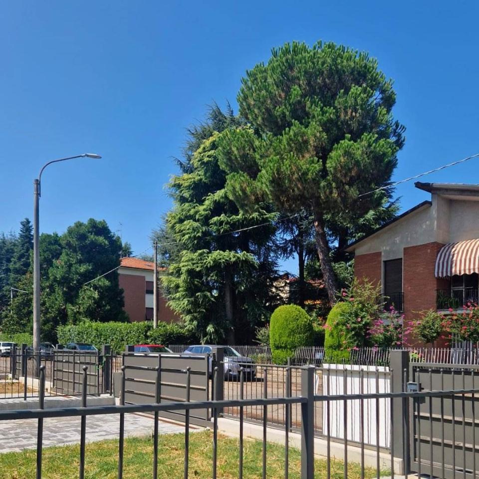 immagine annuncio 10 di 11