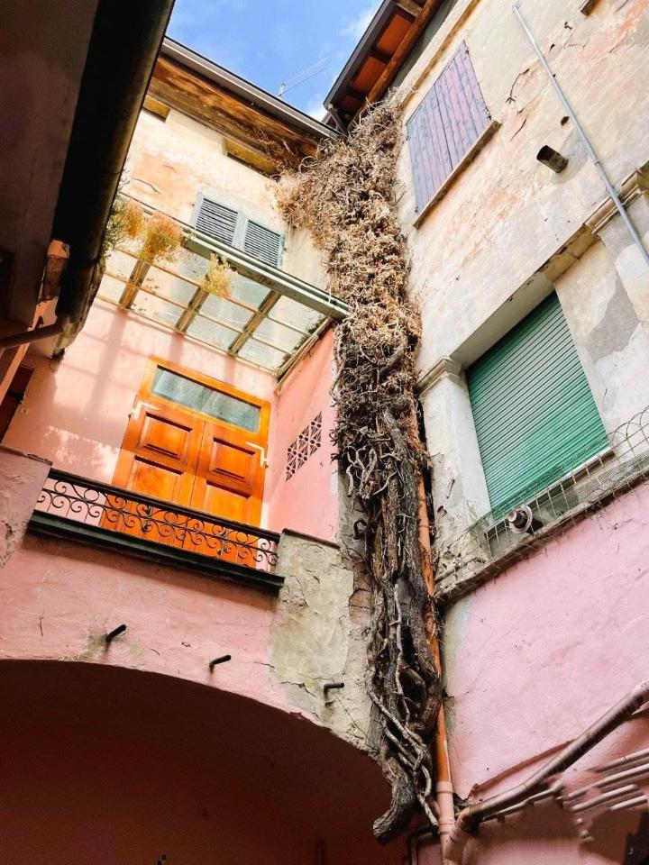 immagine annuncio 2 di 13