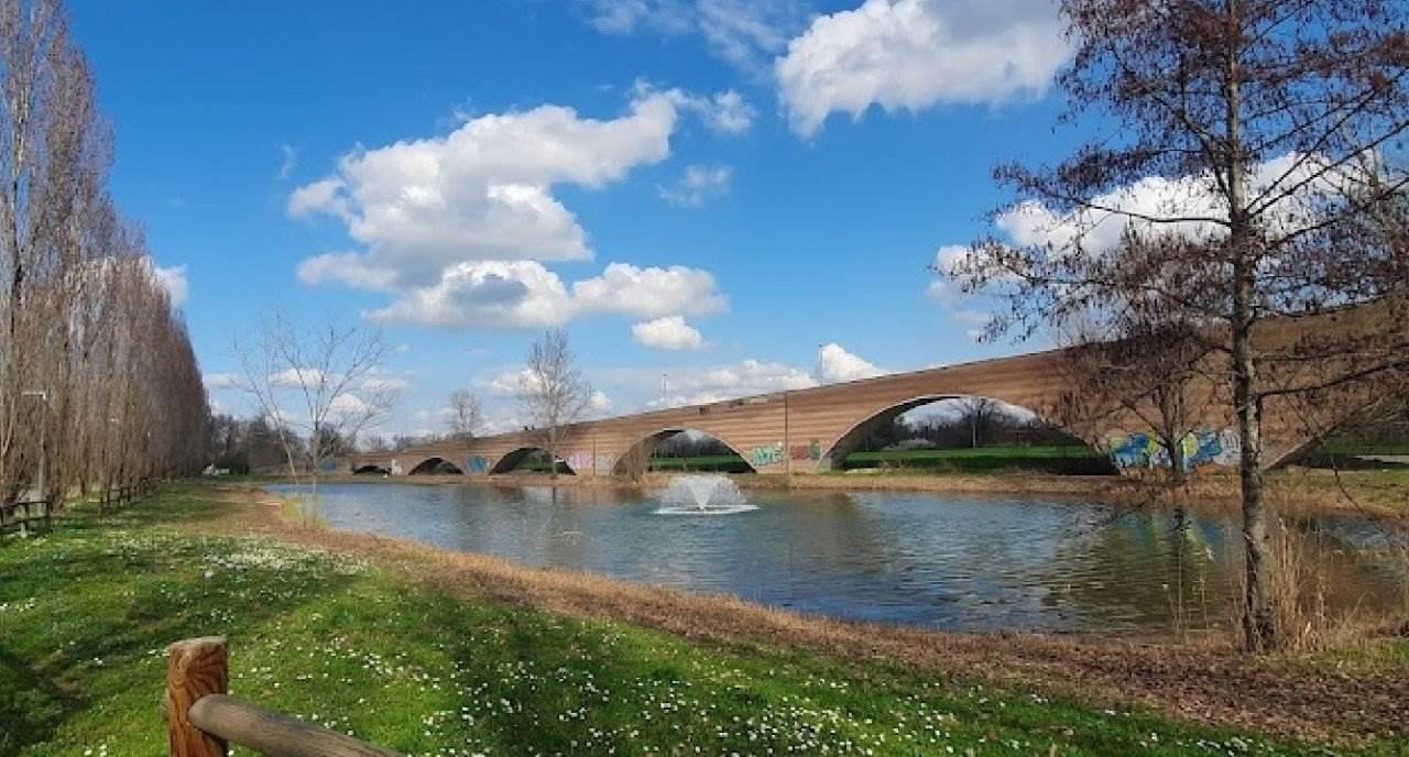 immagine annuncio 5 di 11