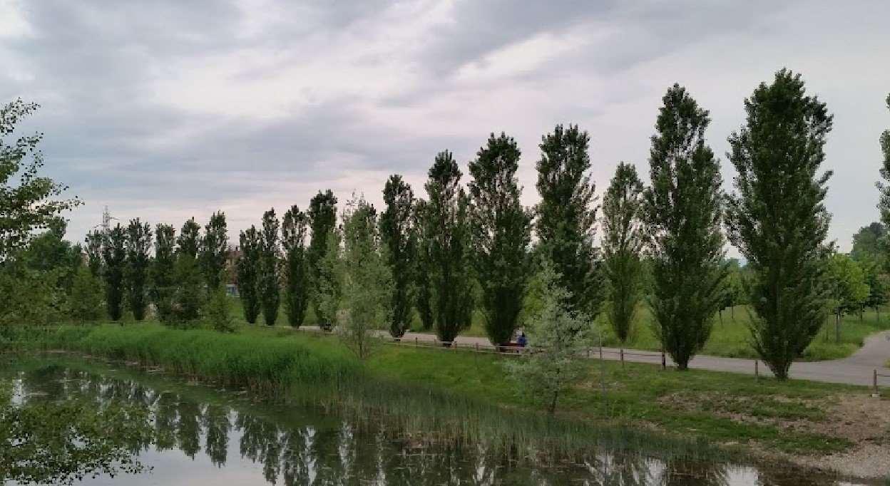immagine annuncio 6 di 11