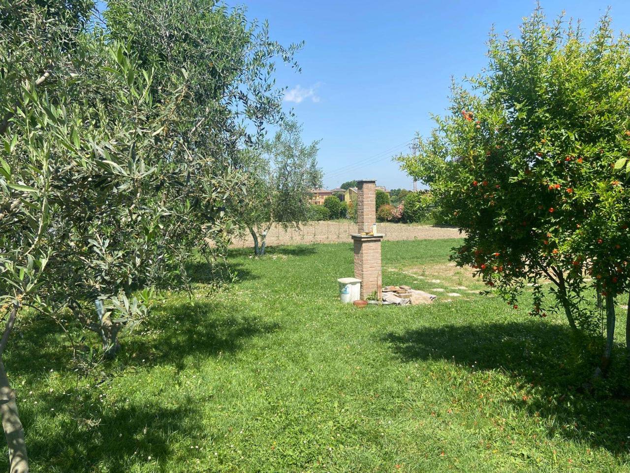 immagine annuncio 7 di 12