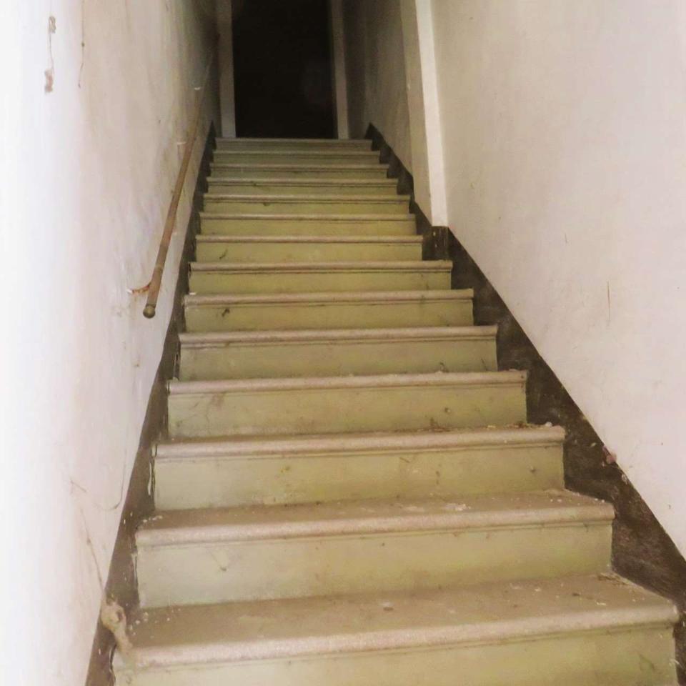 immagine annuncio 9 di 14