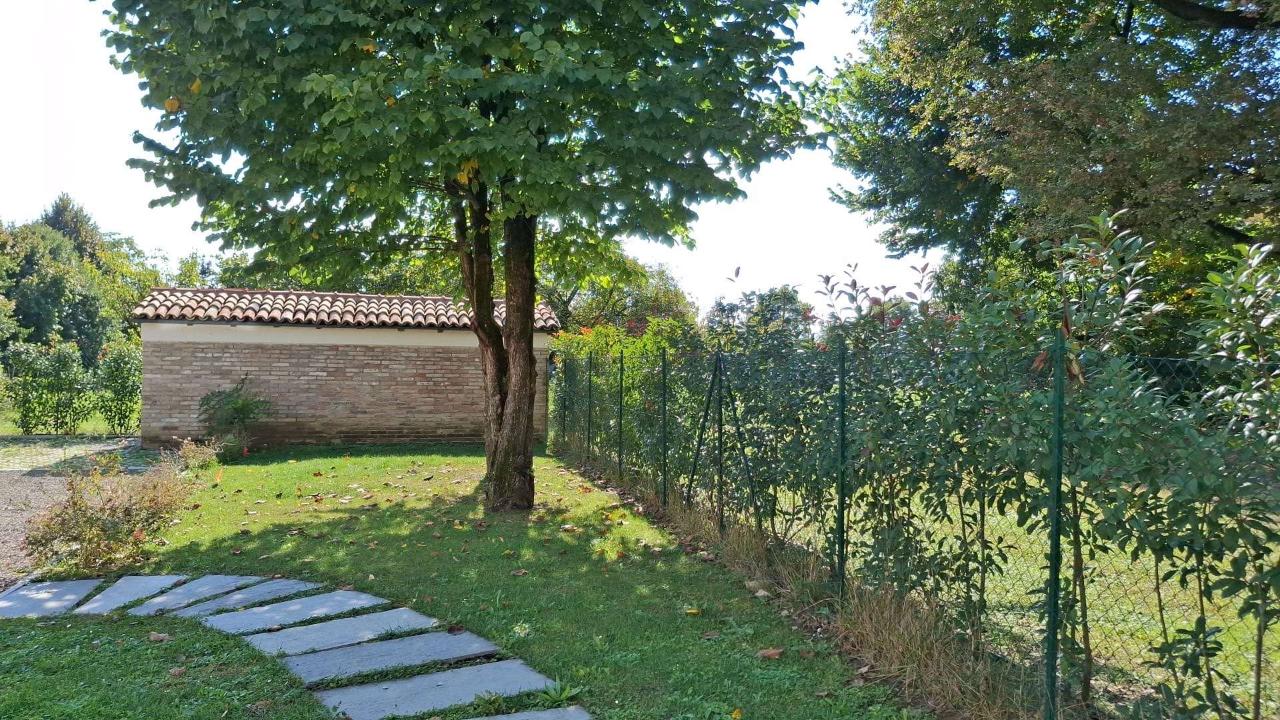 immagine annuncio 12 di 13