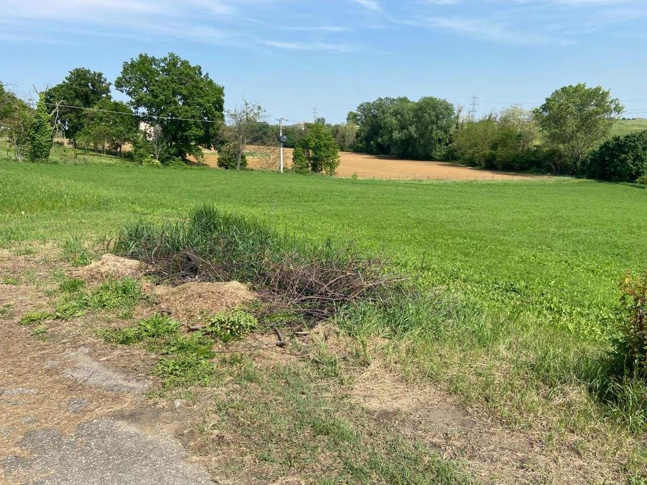 immagine annuncio 6 di 12