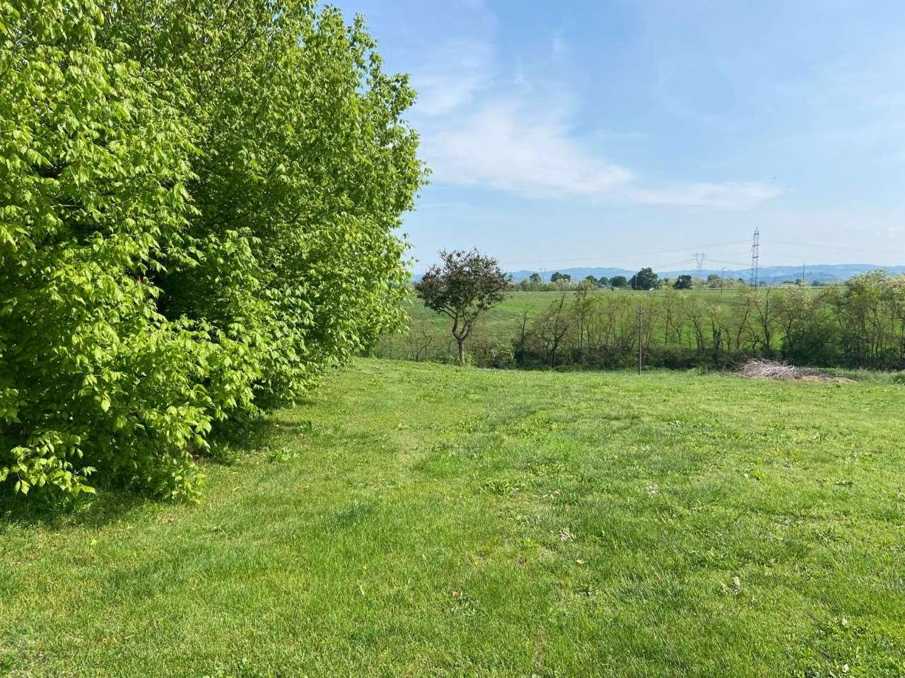 immagine annuncio 5 di 12