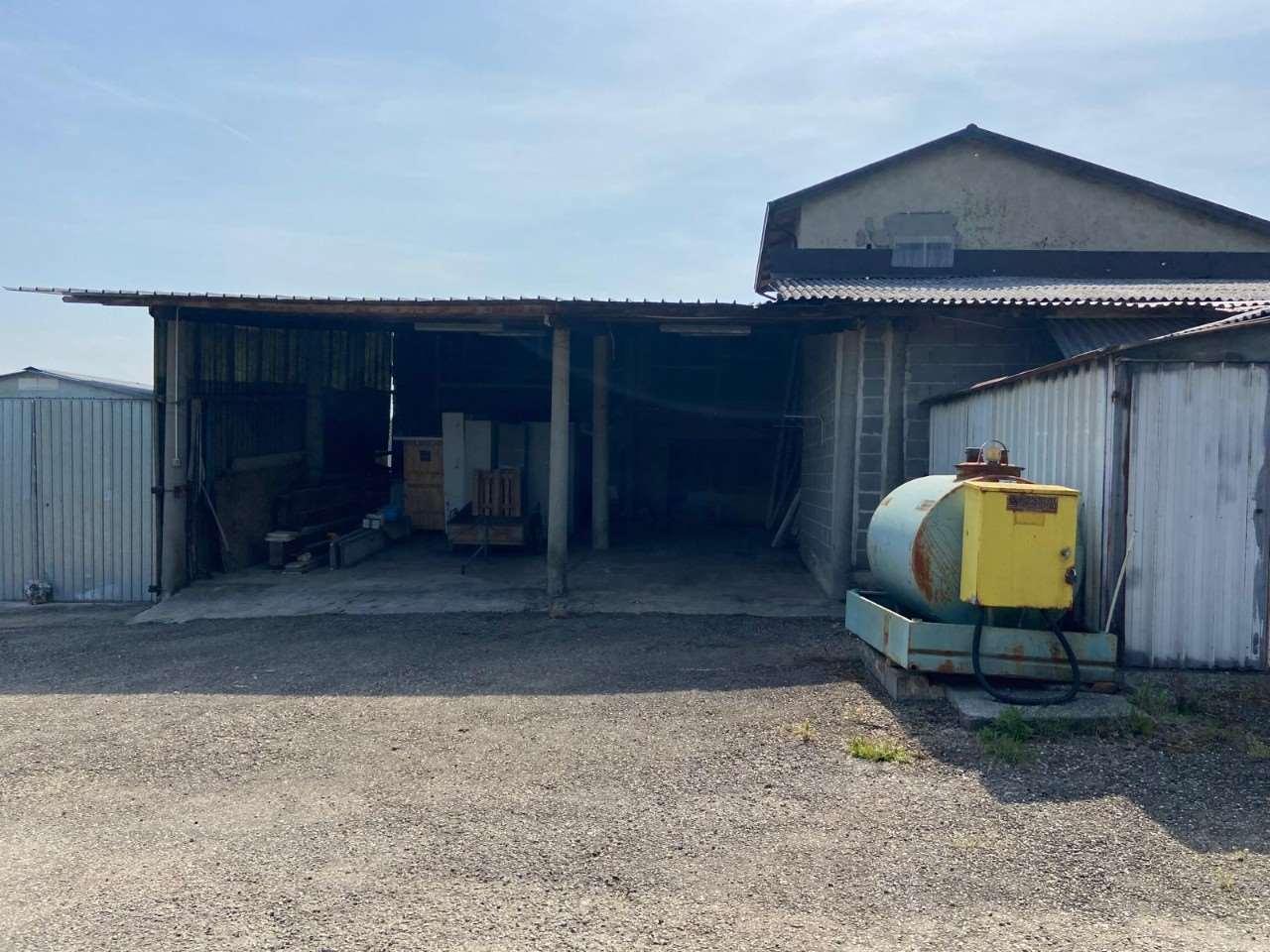 immagine annuncio 11 di 12