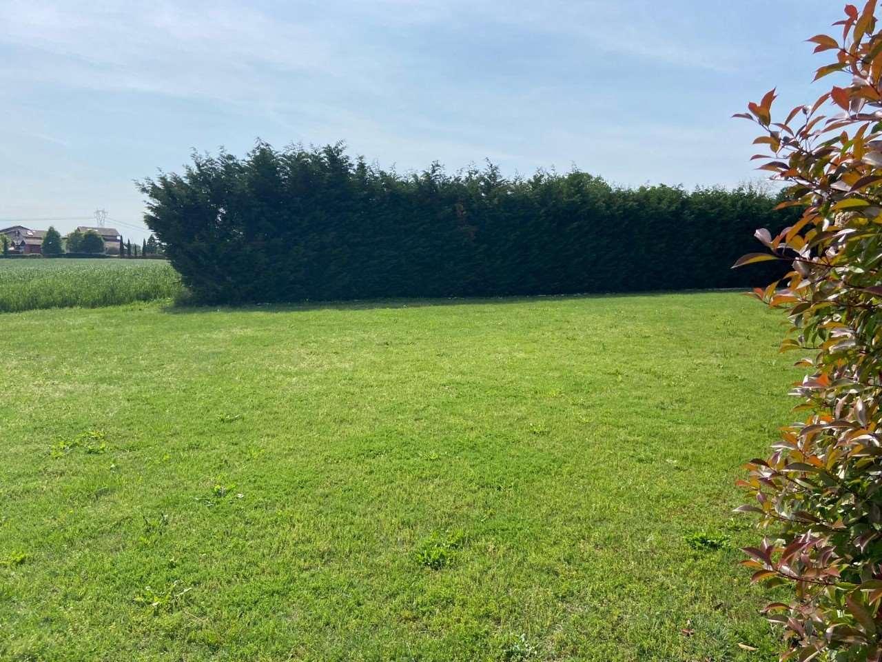 immagine annuncio 10 di 12