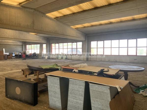 Magazzino in Via Dante Corradini 3, Fidenza, {3} - Foto 2