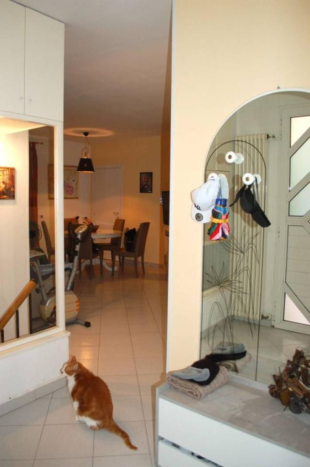 immagine annuncio 4 di 14