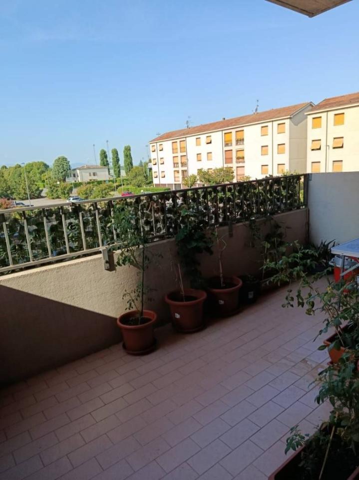 immagine annuncio 2 di 6