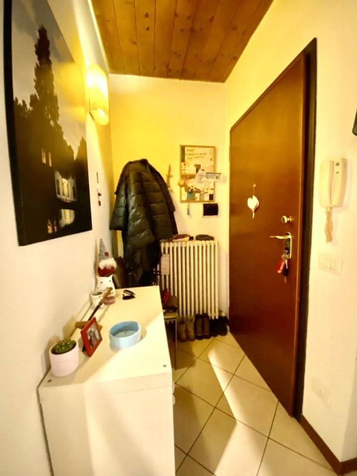 immagine annuncio 5 di 12