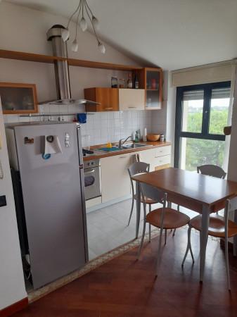 immagine annuncio 2 di 12