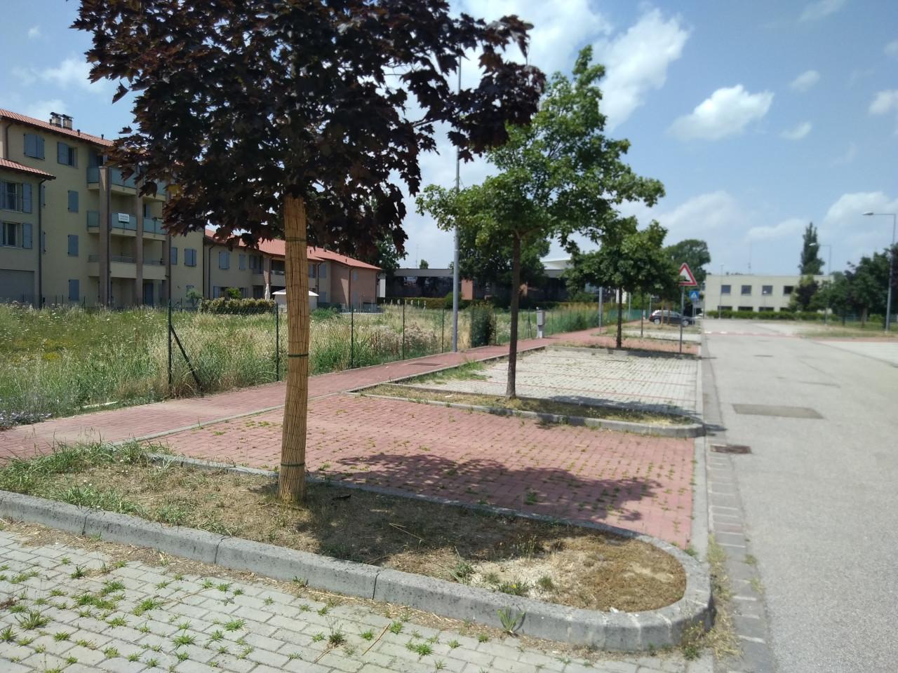 immagine annuncio 9 di 13