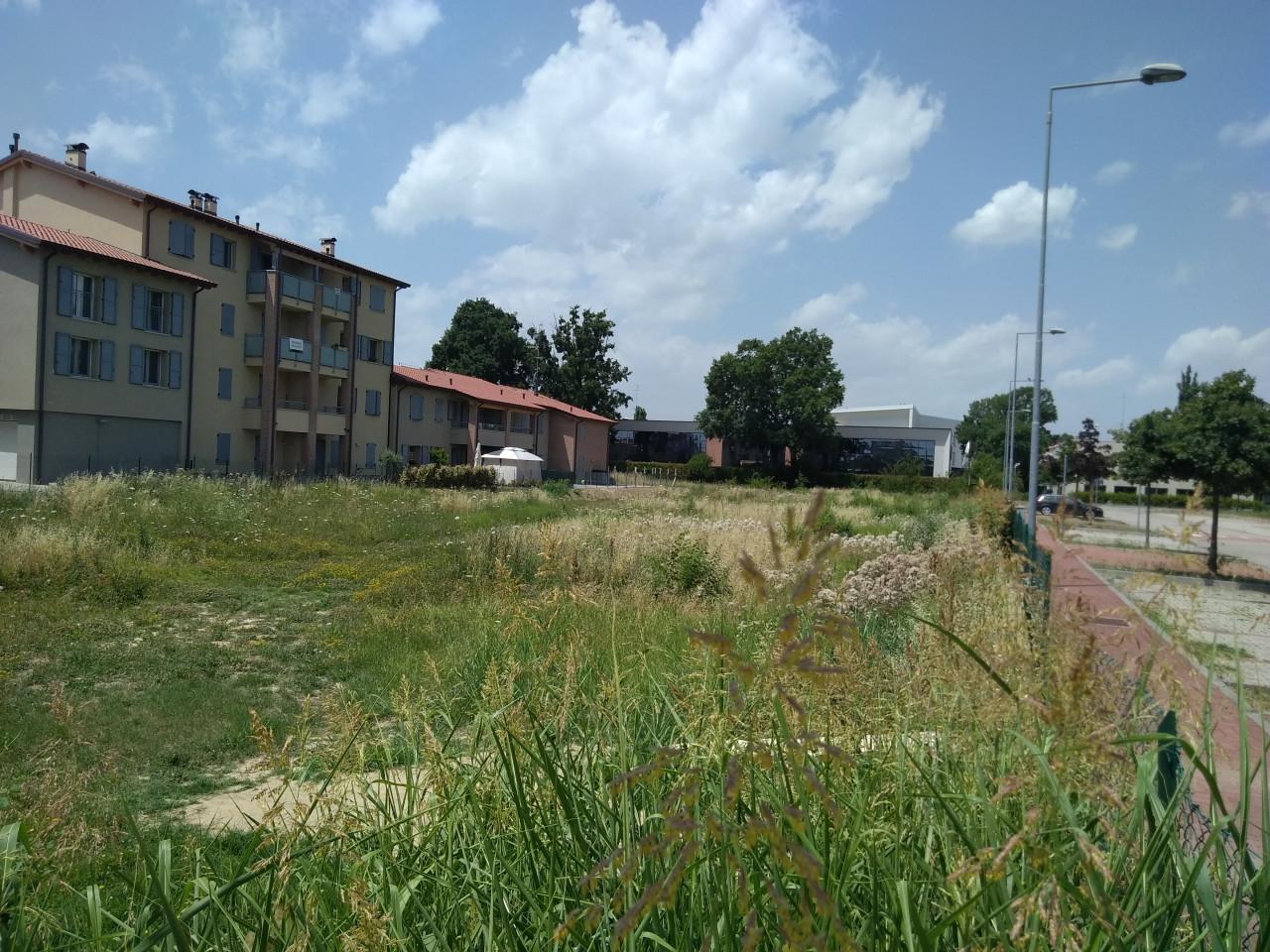 immagine annuncio 8 di 13