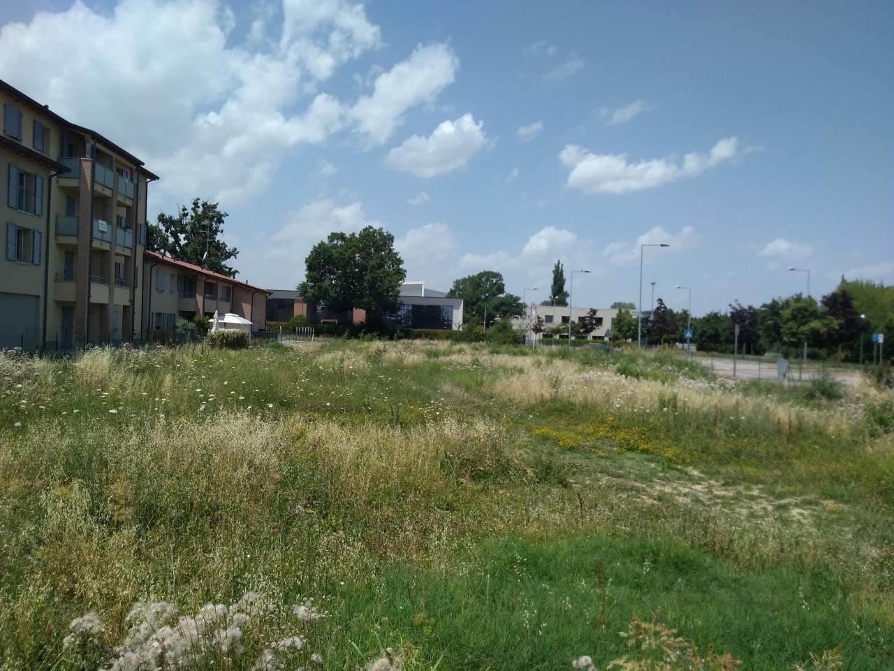 immagine annuncio 12 di 13