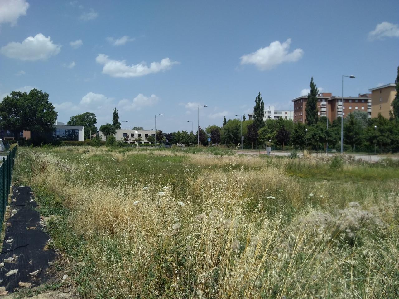 immagine annuncio 10 di 13