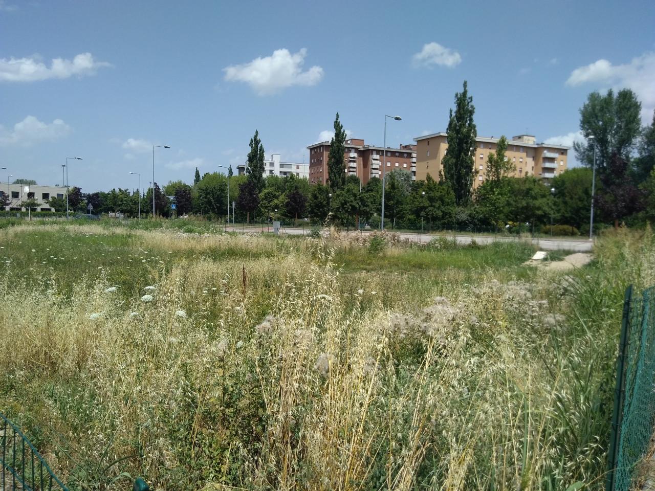 immagine annuncio 11 di 13