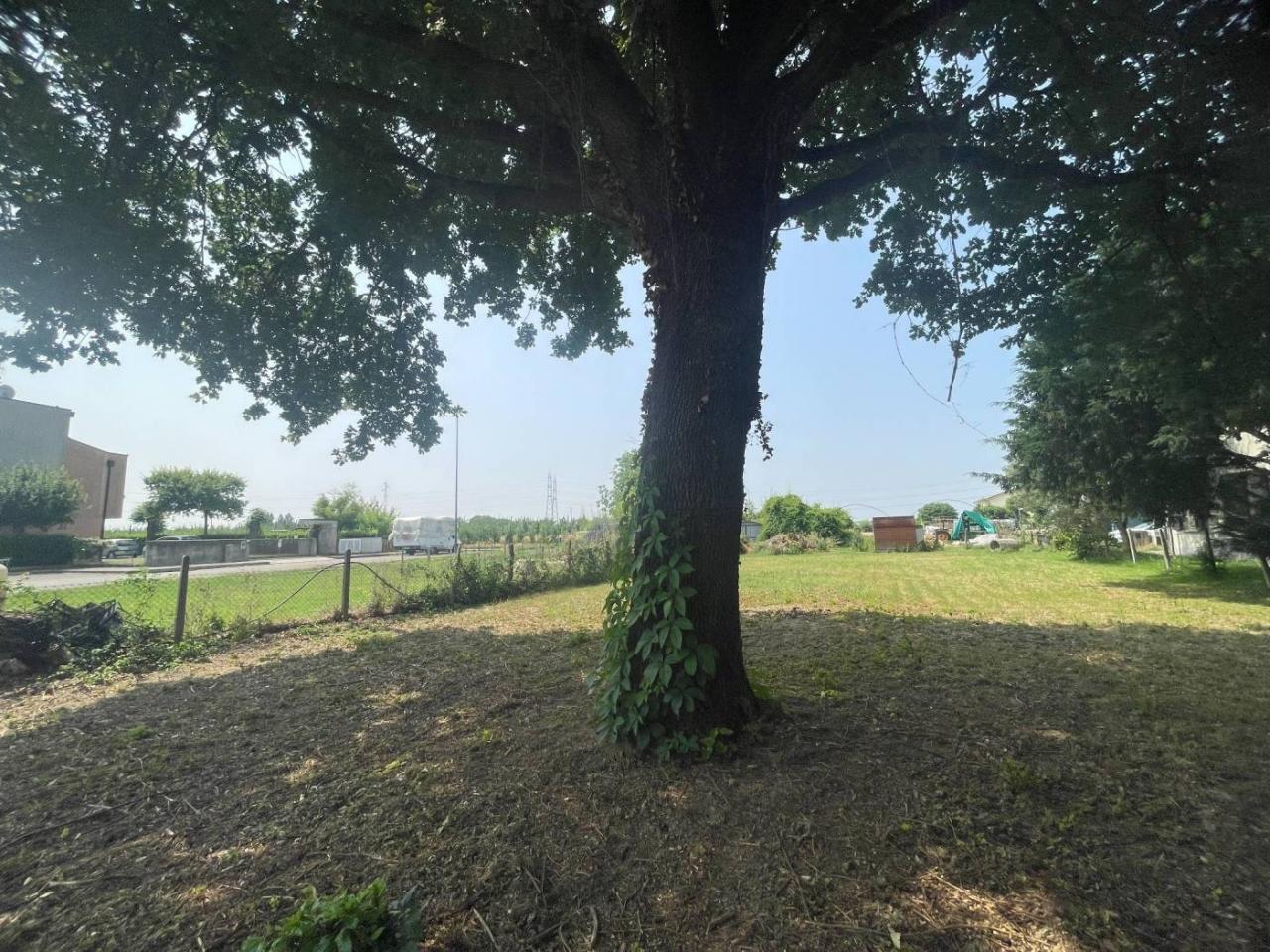 immagine annuncio 6 di 8