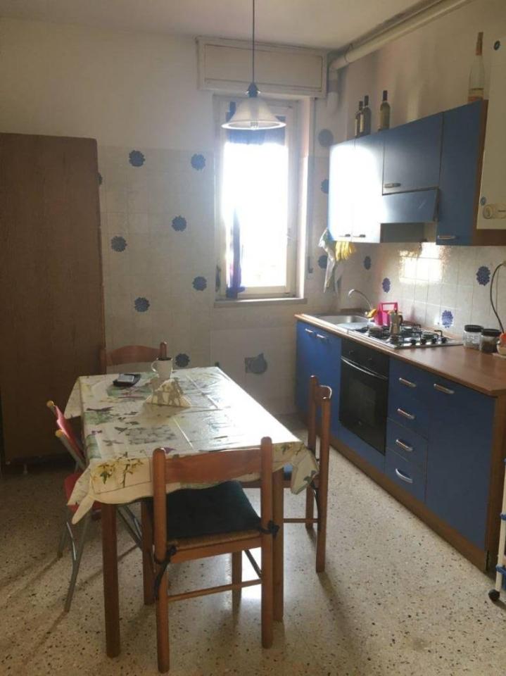 immagine annuncio 7 di 12