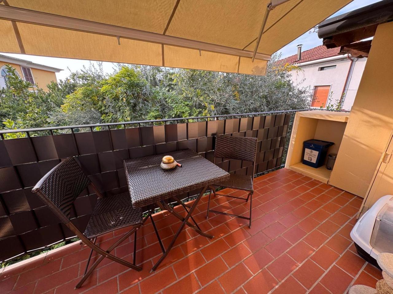 immagine annuncio 12 di 15