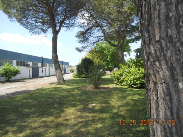 Capannone in Via 2 Giugno, Jolanda Di Savoia, {3} - Foto 1