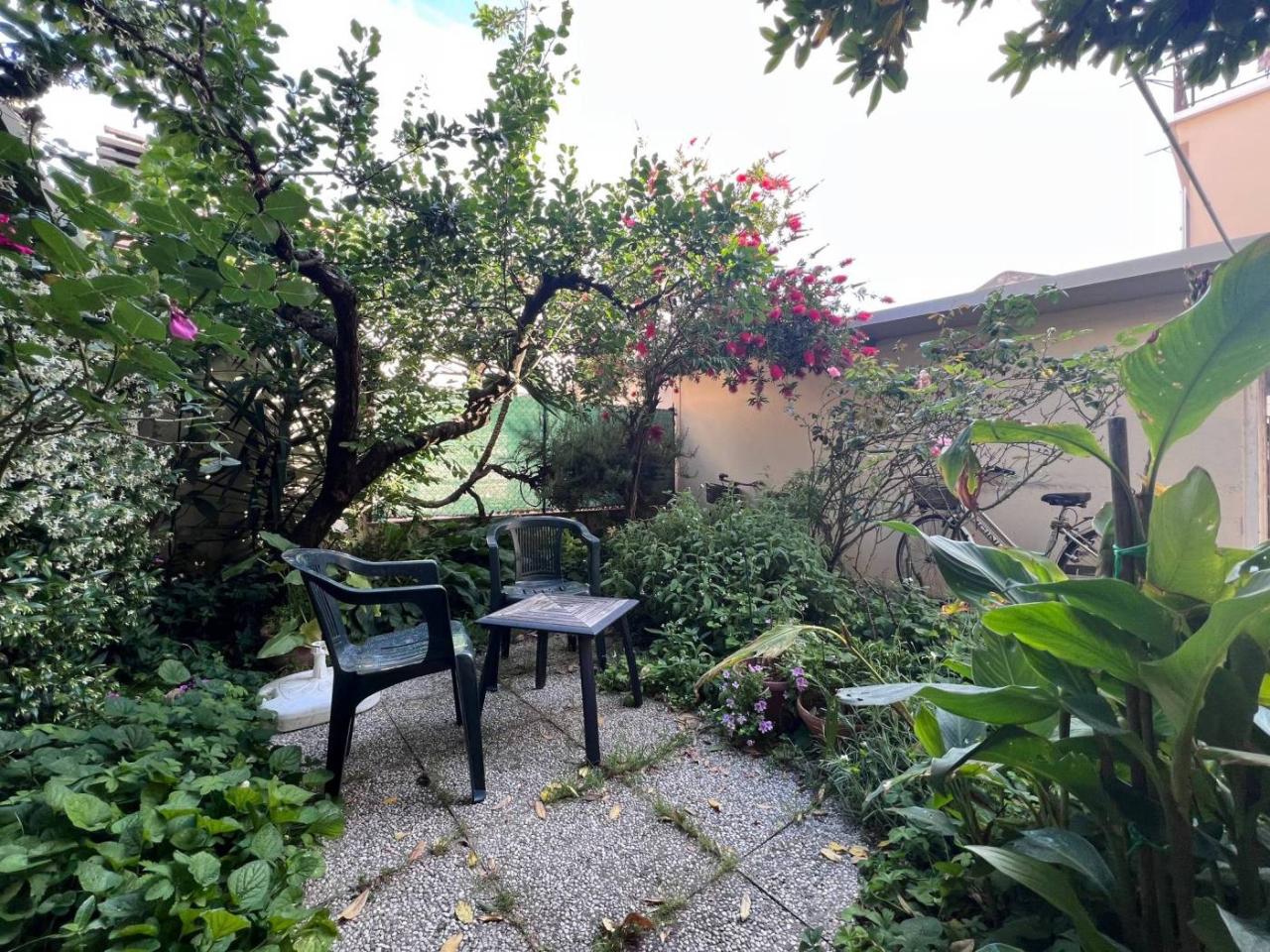immagine annuncio 12 di 13