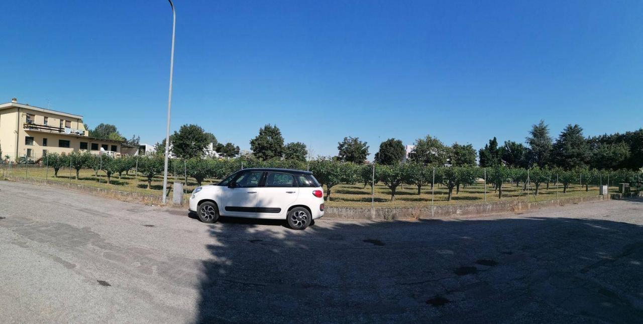 immagine annuncio 2 di 4