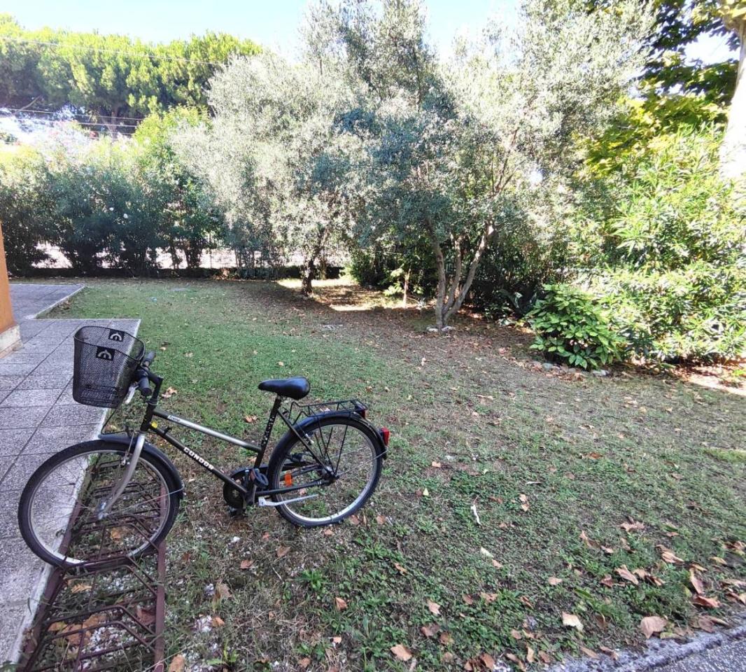 immagine annuncio 9 di 11
