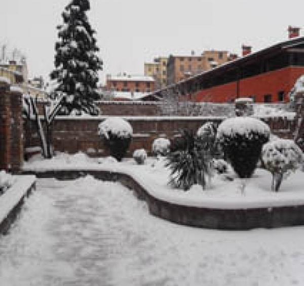 immagine annuncio 2 di 3