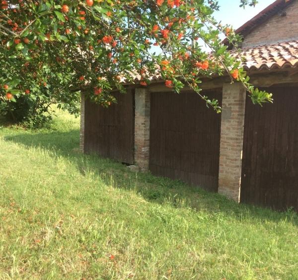 immagine annuncio 1 di 6