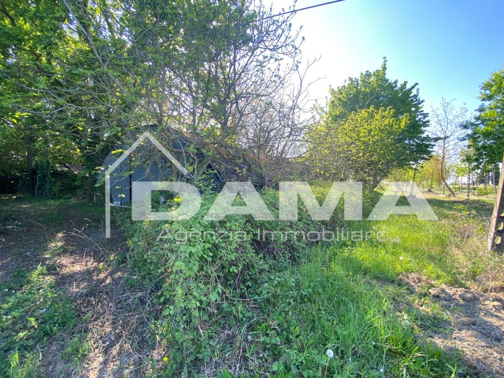 immagine annuncio 6 di 14