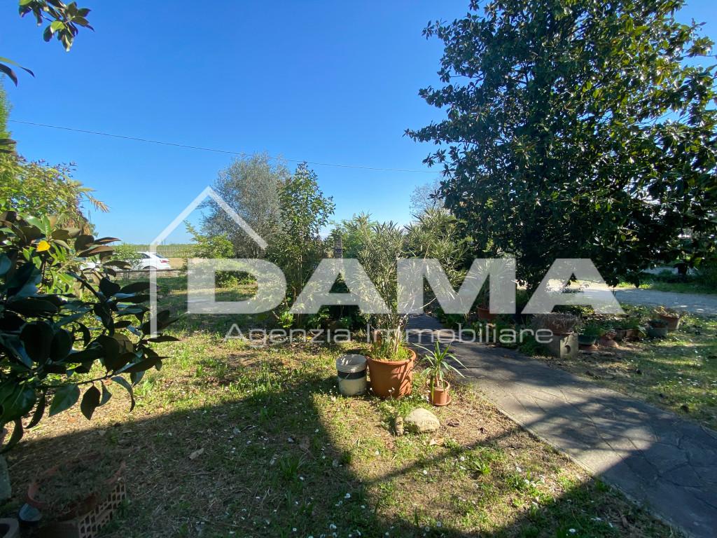 immagine annuncio 4 di 14