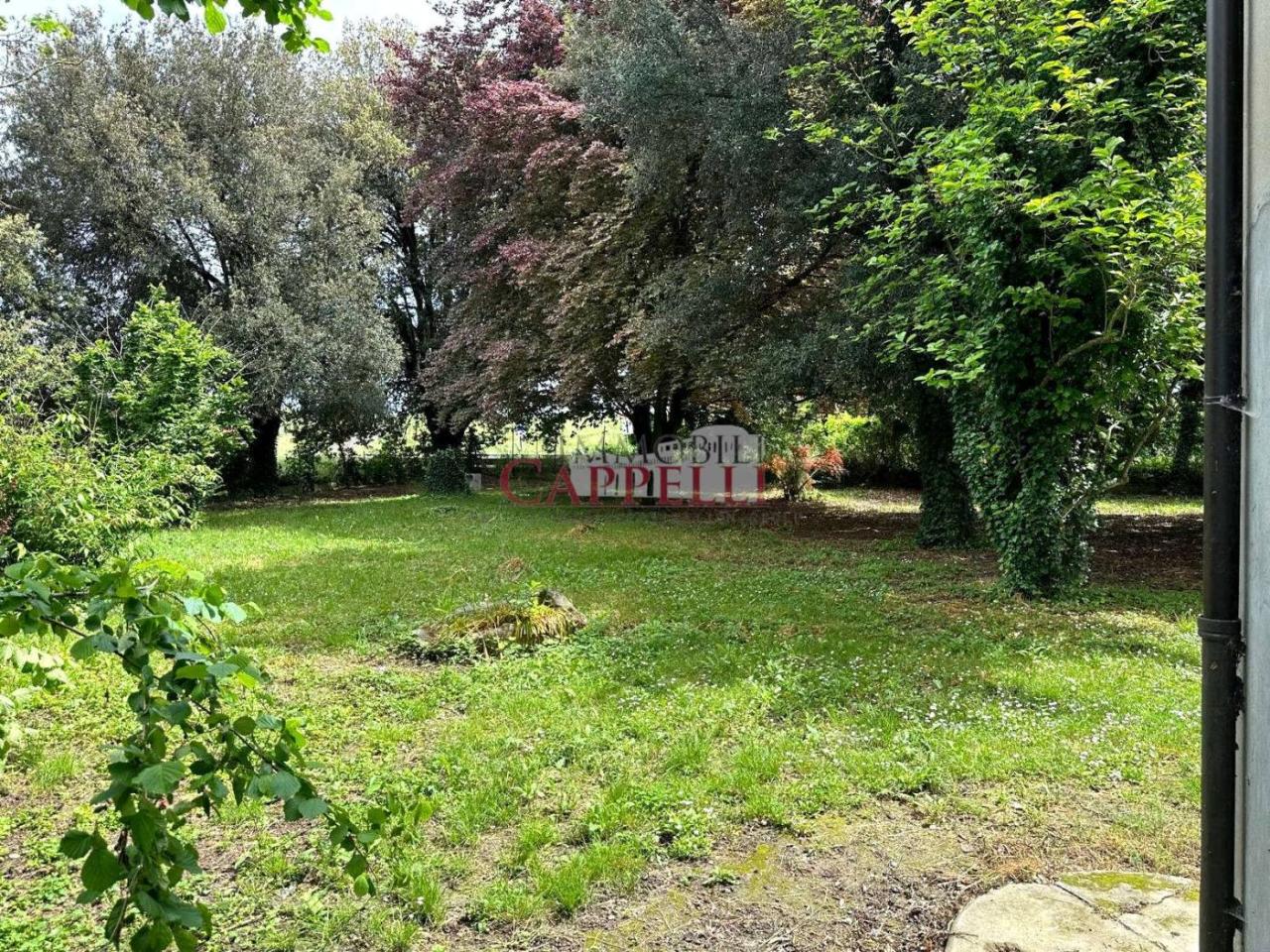 immagine annuncio 5 di 11