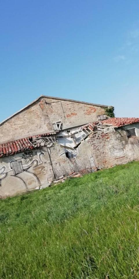 immagine annuncio 3 di 6