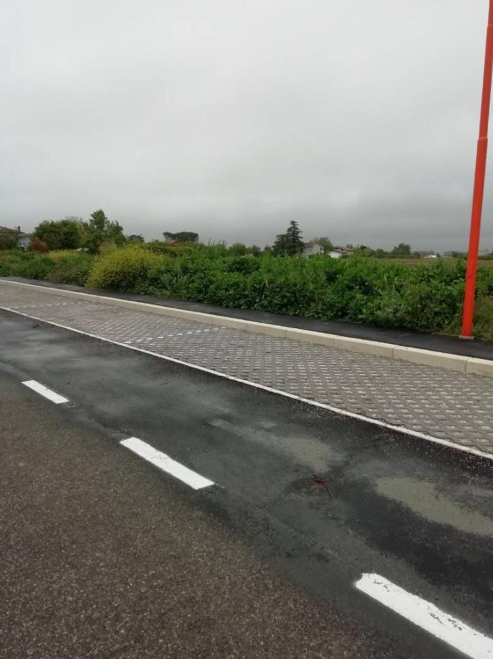 immagine annuncio 1 di 2