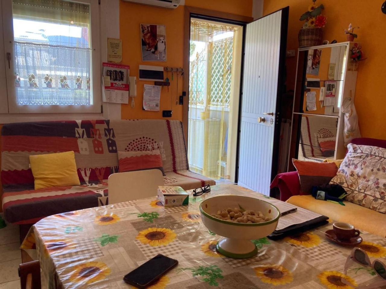 immagine annuncio 11 di 15