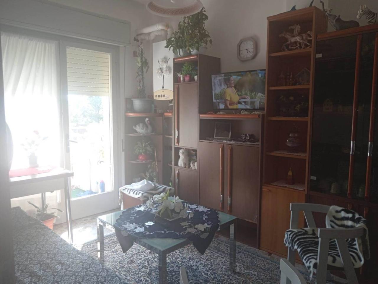 immagine annuncio 2 di 14