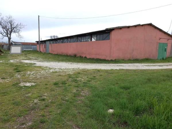 Capannone in , Santarcangelo Di Romagna, {3} - Foto 2