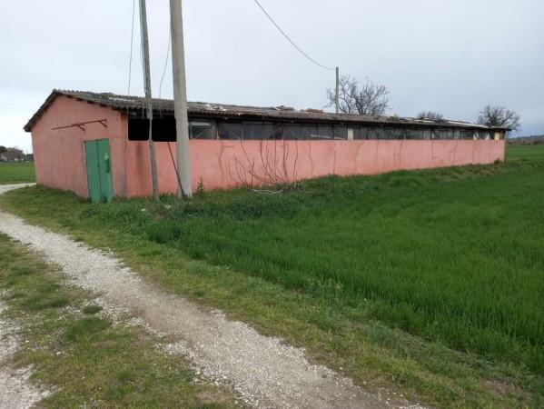 Capannone in , Santarcangelo Di Romagna, {3} - Foto 1