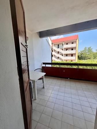 immagine annuncio 6 di 12