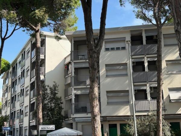 immagine annuncio 4 di 7