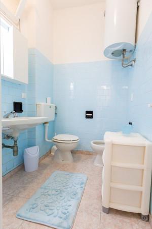 immagine annuncio 8 di 12