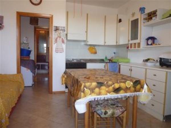 immagine annuncio 7 di 13