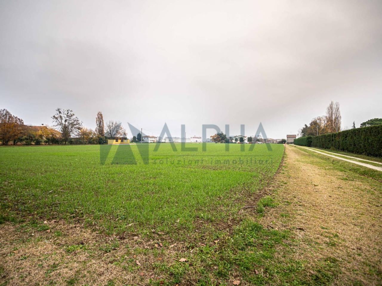 Terreno agricolo in vendita a Forli'