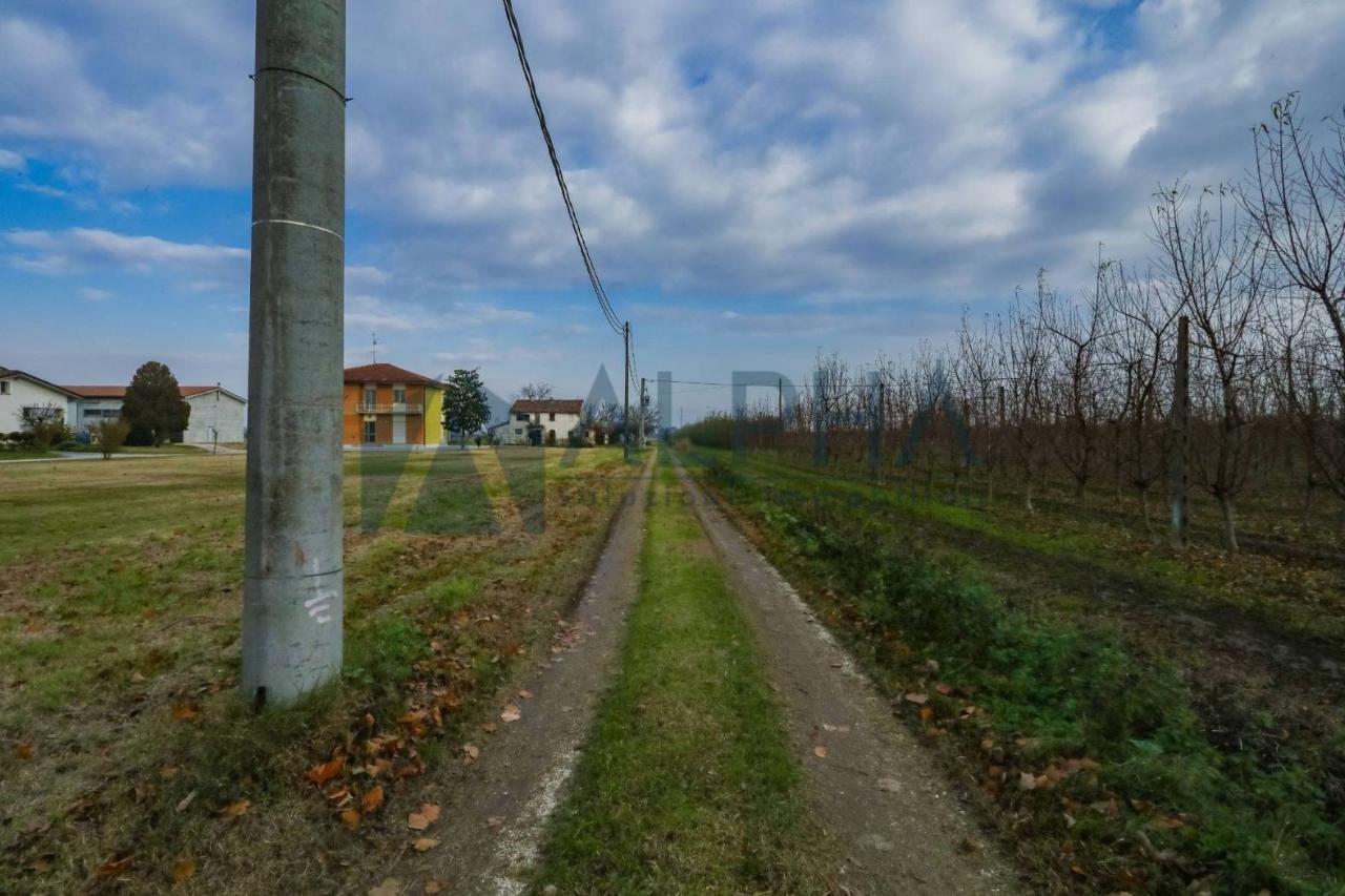 immagine annuncio 10 di 12